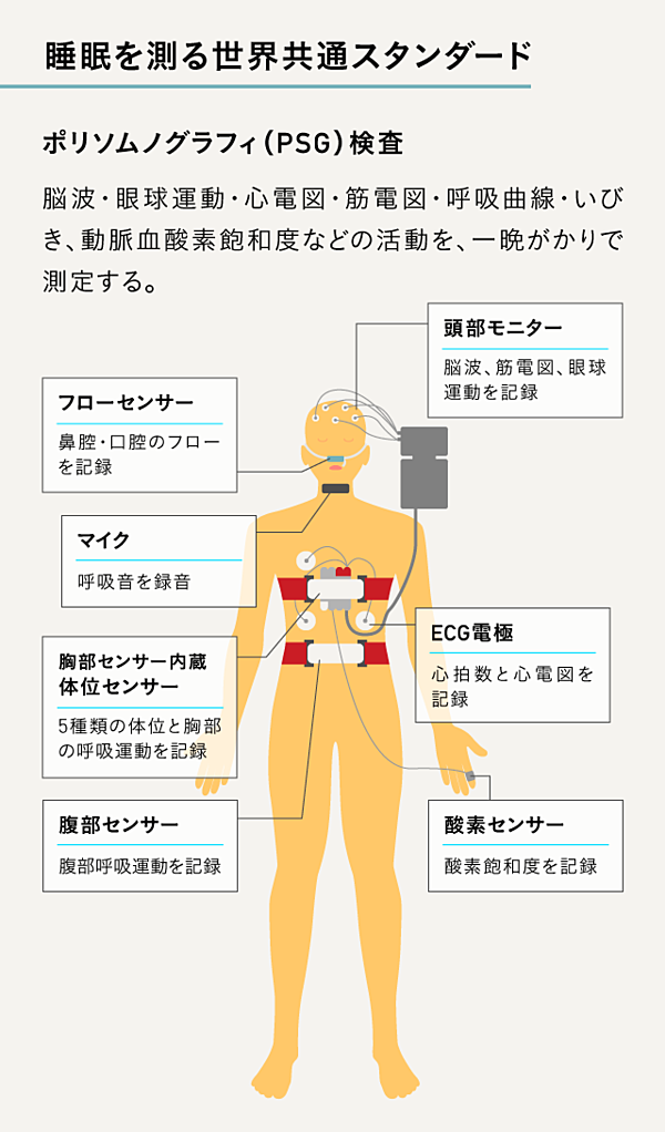 税込) 値下げしました 日本睡眠学会 学習用PSGチャート