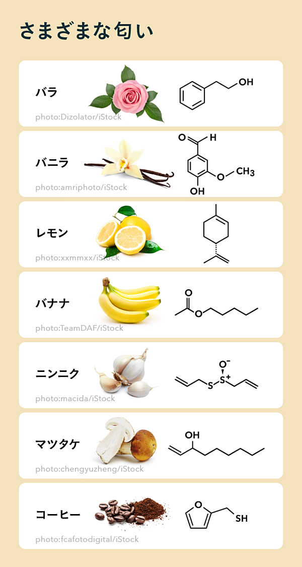 受容体がない レモン 石鹸にしか感じない