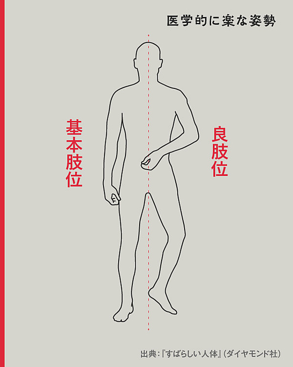 ベストセラー『すばらしい人体』に学ぶ、健康と病気の真実