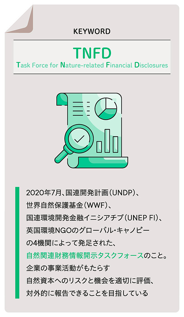 大人女性の ESGとTNFD時代のイチから分かる 生物多様性 ネイチャー