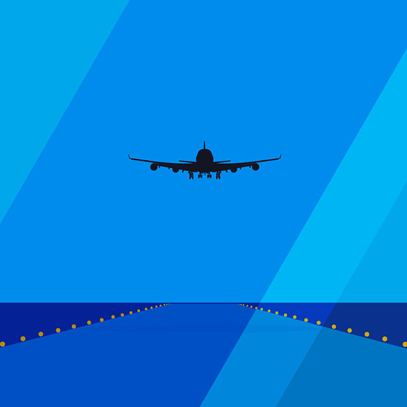 直撃 ピーチ出身のana新社長が語る 黒字化 への道