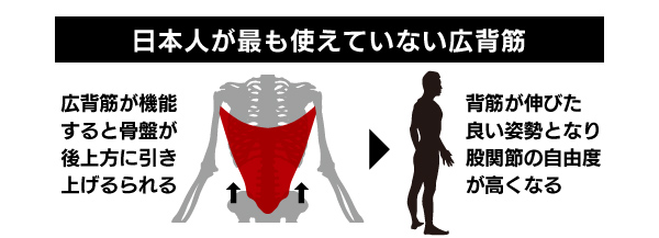 広背筋を機能させるための西本流トレーニング