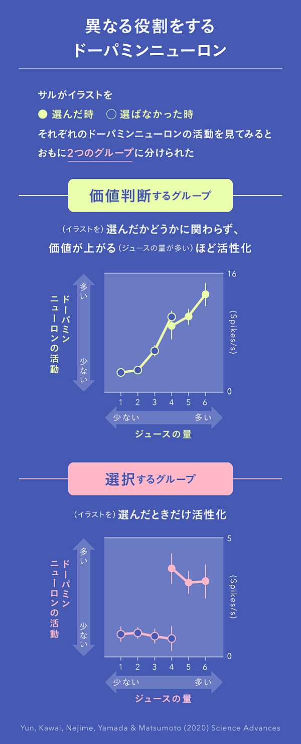 不完全 返品も交換もありません ドーマンのドッツカード&脳活性化訓練