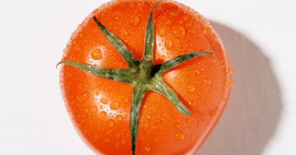 水の消費量を減らすゲノム編集トマト