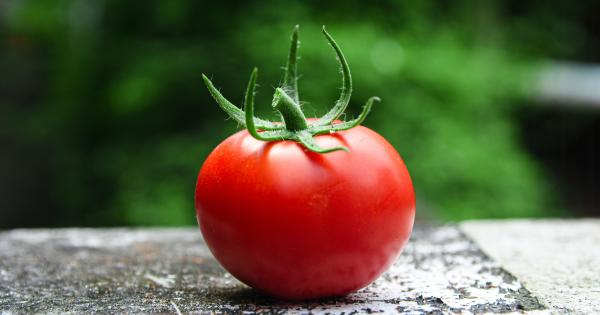 ゲノム編集でトマトの形を操る