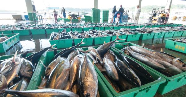 日本の漁業再生を3つの視点からローカルスタートアップ起業家が語る