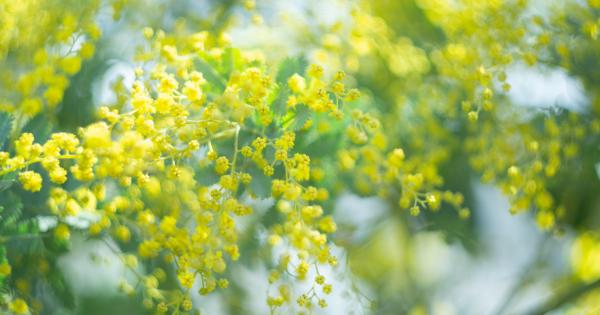 ハラスメントに向き合って◎棚沢永子『現代詩ラ・メールがあった頃』