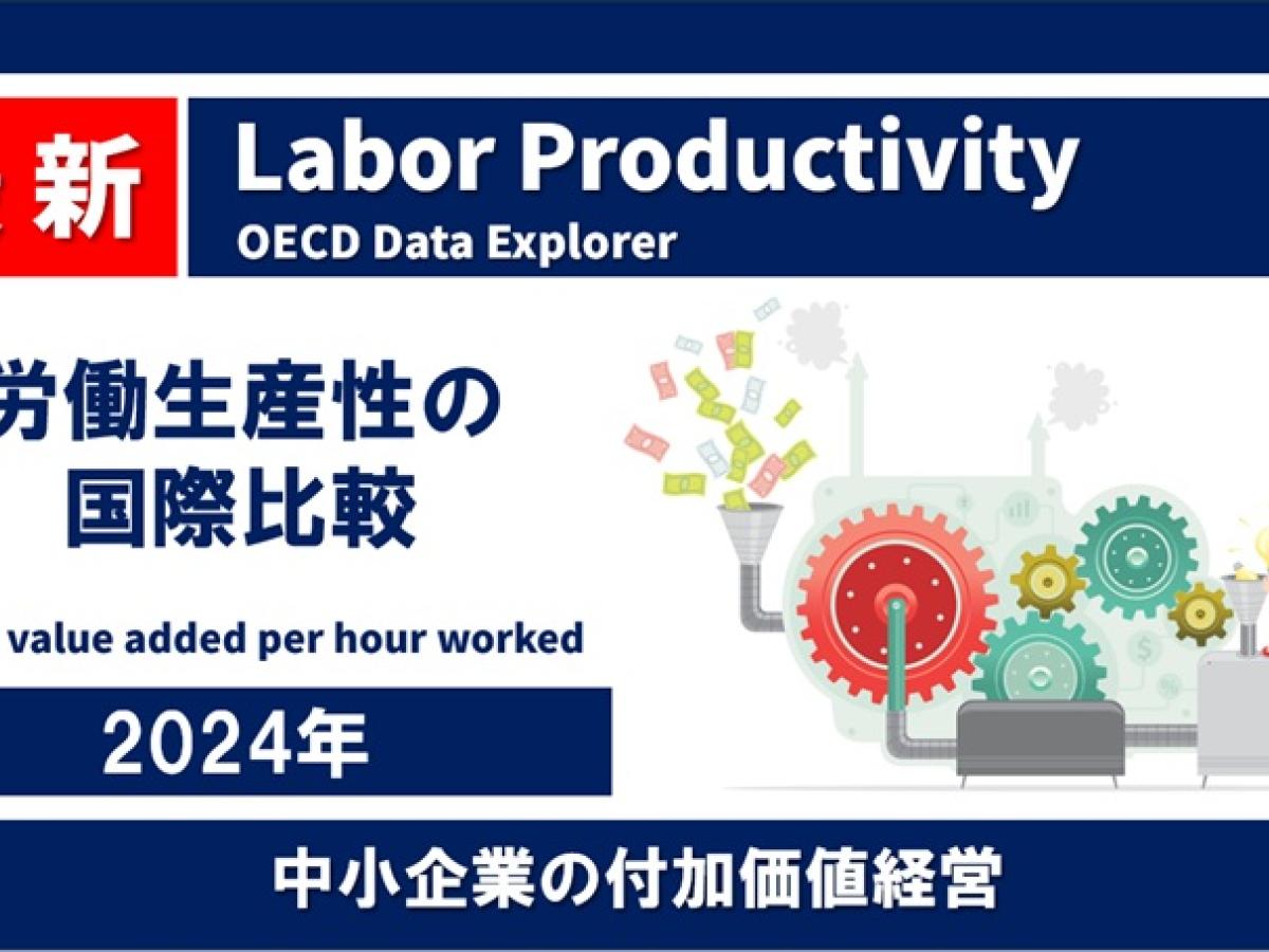 日本の労働生産性は何位？ 2024年 OECD Data Explorer