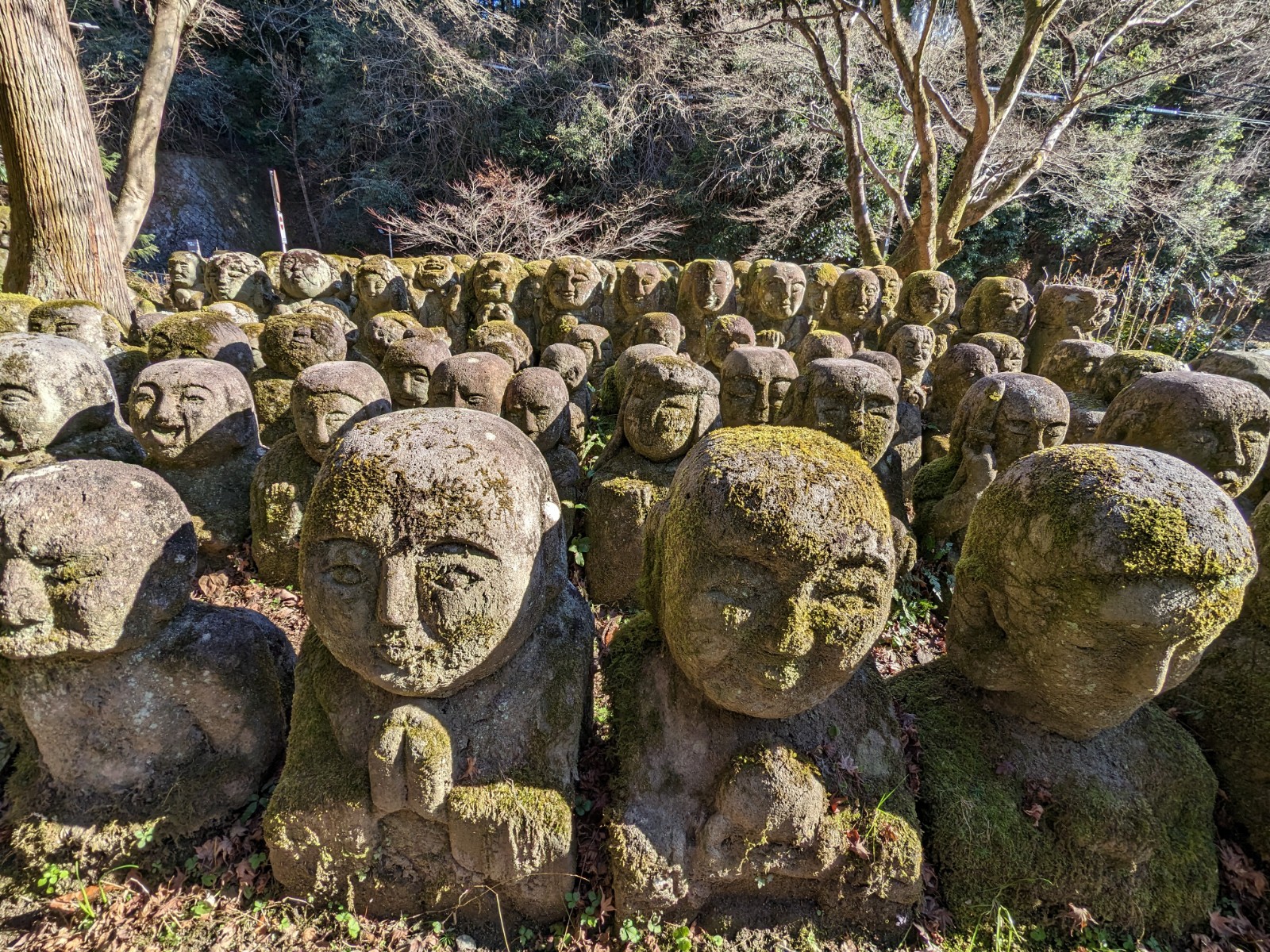退職前日、京都の愛宕念仏寺で「仕事とは何か」を考えた