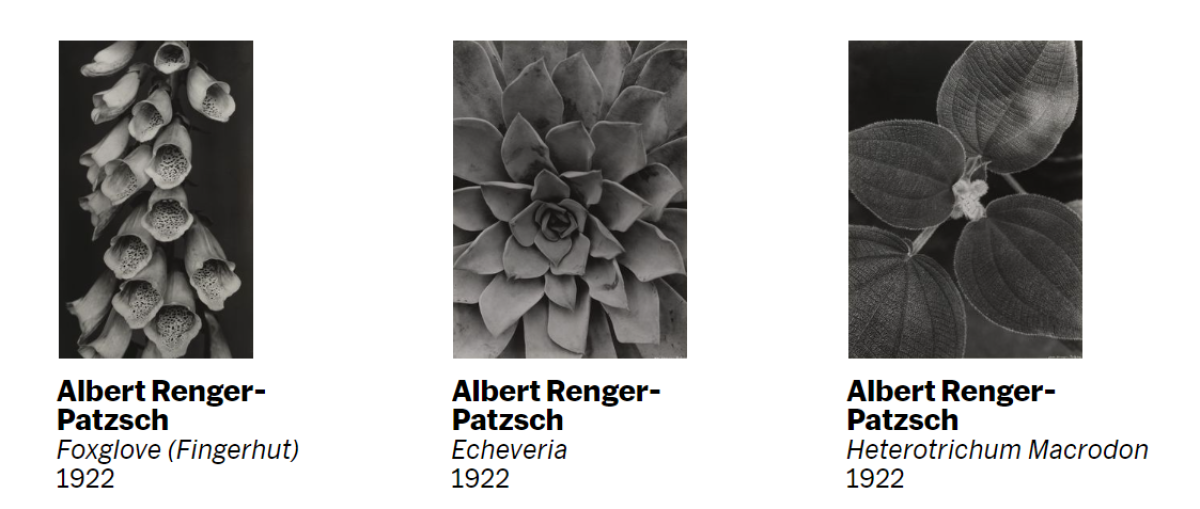 17：Die Welt ist schoen. （世界は美しい）