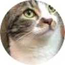 picker icon