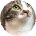 picker icon
