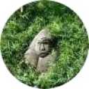 picker icon