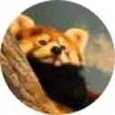 picker icon