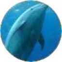 picker icon