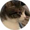 picker icon