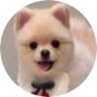 早馬 光