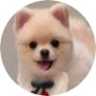 早馬 光