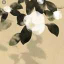 picker icon