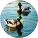 picker icon