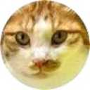 picker icon