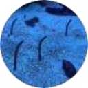 picker icon