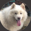 picker icon